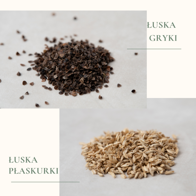 ŁUSKA GRYKI/PŁASKURKI